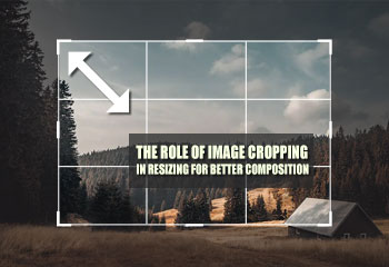 The role of image cropping in resizing for better composition